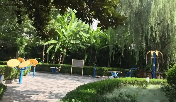 装病夫君：拐了儿子弃了夫